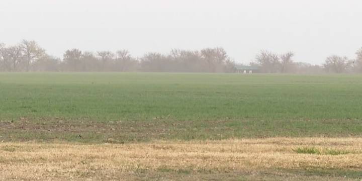 Proposed solar farm sparks debate in Clearwater area