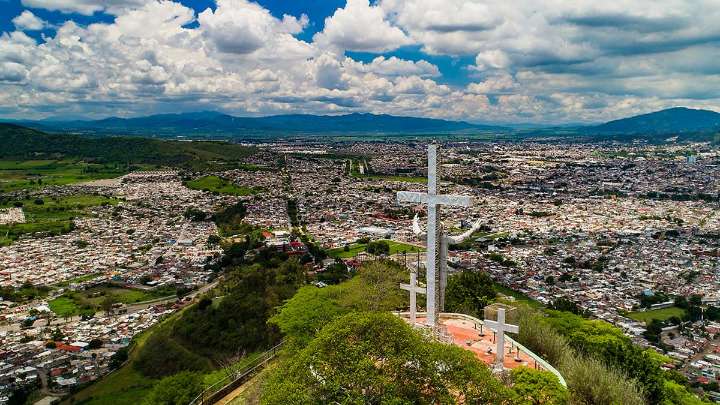 Las especies exóticas, ecocidio a flor de piel