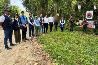 ELN libera a una menor de edad y a dos integrantes de las disidencias