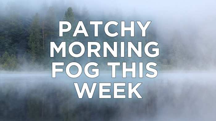 Fog, warmth, and weekend cold front