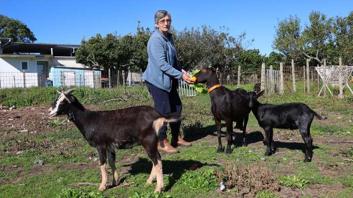 De la marina mercante a criar cabras y hacer quesos: « Estou contenta coa miña traxectoria»