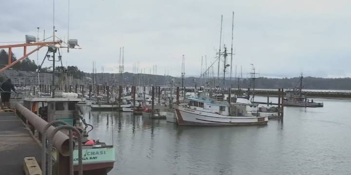 Trump administration considering potential ICE facility on Oregon coast, Newport leaders say