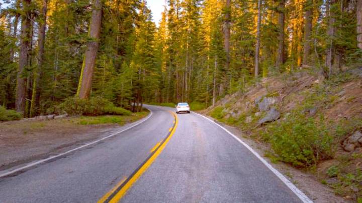 Himachal Police launch crackdown on risky road stunts for social media...