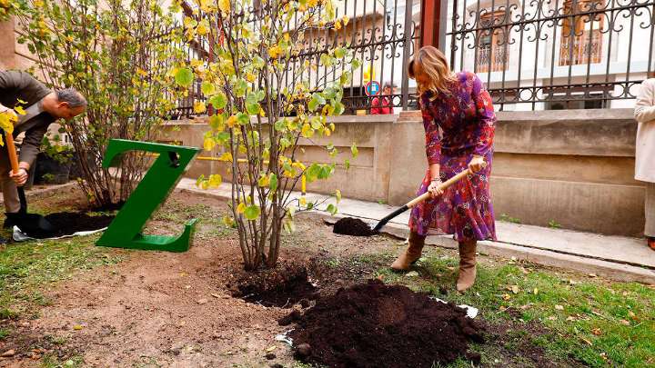 Así cambiará Zaragoza con las nuevas plantaciones en Parque Bruil y Parque Venecia