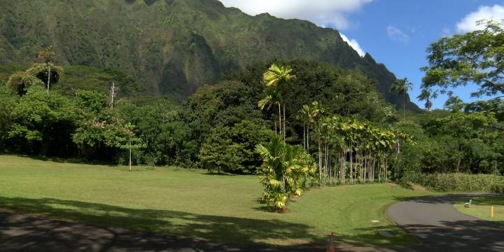 City starts master plan process for botanical garden that’s rocketed in popularity