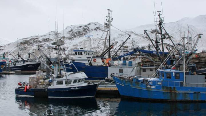 Alaska commercial fishing jobs have fallen to a record low, report says