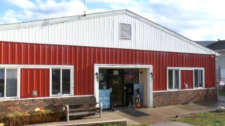 Central PA Humane Society's new leadership gives update on efforts to build new facility