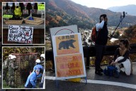Japanese tourist village battles to keep bears at bay