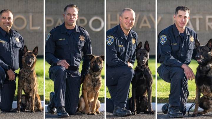 Meet CHP's newest K-9 officers: Jury, Judge , Jag and Oso