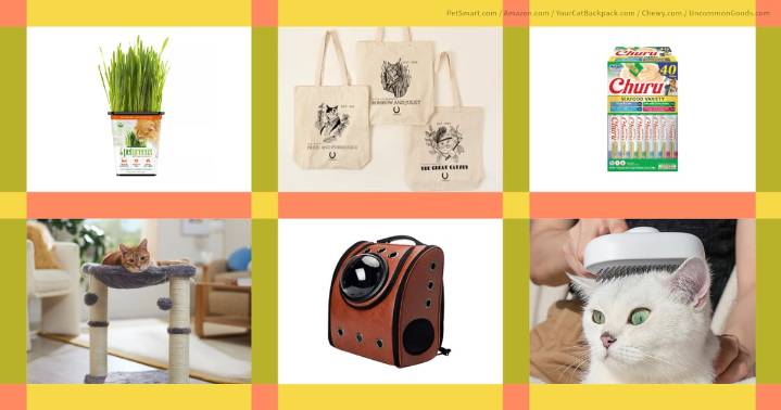 Best Gifts For Cat-Lovers, According to Two Cat Ladies