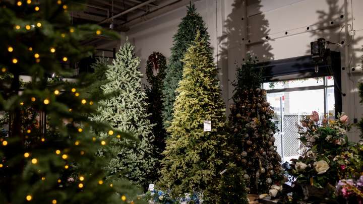 Por qué tu árbol de Navidad podría costar más este año – Telemundo Area de la Bahía 48