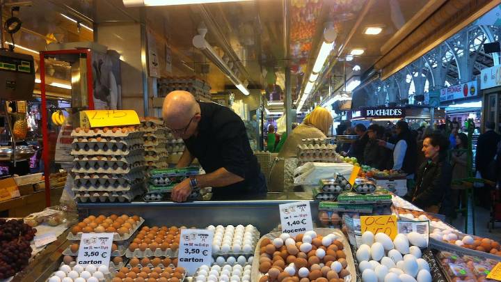 ¿Qué tipo de huevo deberías comprar? Así se diferencian los camperos, ecológicos e industriales