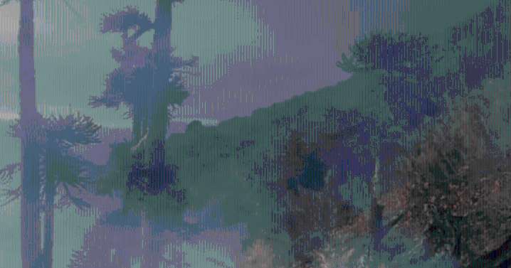 Mapa | Los puntos con incendios en el parque Lanín por tormentas eléctricas: se combatirán con medios aéreos