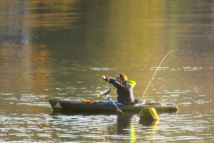 Scene in Mountlake Terrace: Morning catch