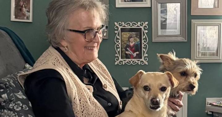 Dog walker and beloved pooch 'mauled by pack of Rottweilers' in park