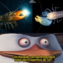 El camarón que dispara balas de sonido más calientes que el Sol