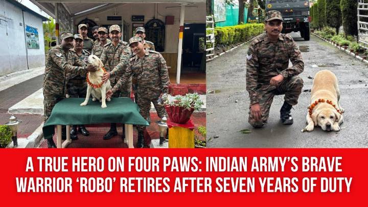 A True Hero on Four Paws: Indian Army’s Brave Warrior ‘Robo’ Retires After Seven Years of Duty