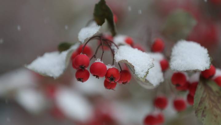 West Michigan, UP to see heavy snow in places. What we know