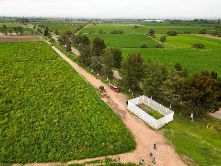 Productores laguneros rechazan propuesta de riego para el ciclo agrícola 2025