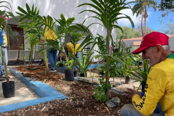 Funsone y Fundárbol sembraron 206 plantas por la conservación ambiental