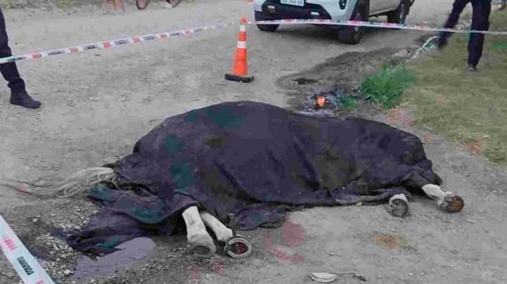 Córdoba: un niño resultó herido y su caballo murió electrocutado