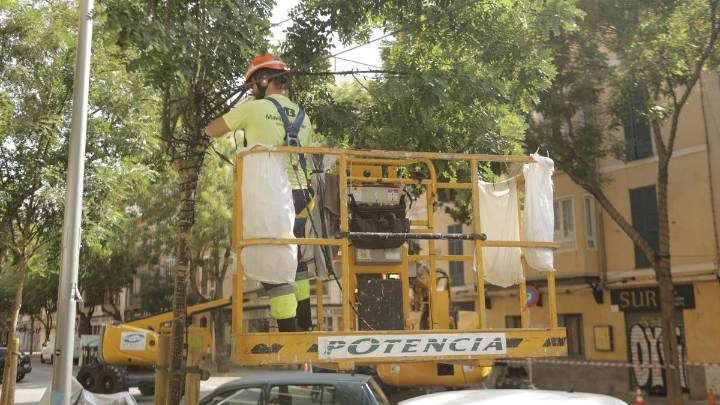 Otro barrio de Palma se suma a la indignación por la falta de luces de Navidad