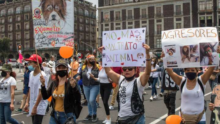 Marchas HOY 16 de Noviembre de 2025 en CDMX: Manifestaciones y Concentraciones