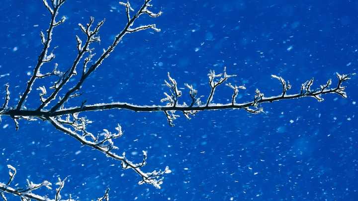 Here's more on polar vortex and La Niña weather patterns