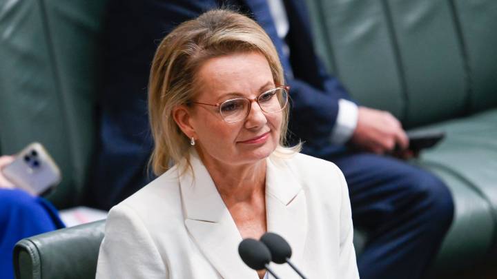 ‘Incredibly strong’: Senior Liberal MP defends Sussan Ley's leadership after mass exodus of party members