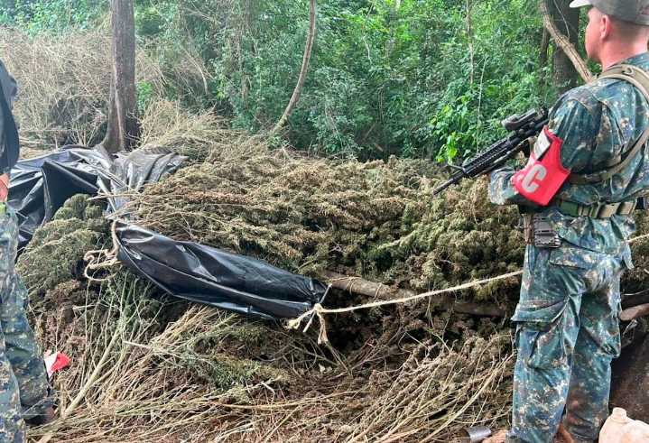 Militares paraguayos decomisan 9.4 toneladas de marihuana en zona fronteriza con Brasil