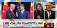China's control of key rare-earth magnets threatens US national security, congressman warns