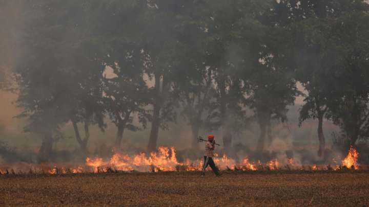 SC seeks report from Punjab, Haryana on steps taken to curb stubble burning