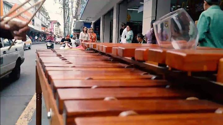 Luis y Carlos marimberos con más de 50 años de experiencia dando ritmo y alegrías a los veracruzanos