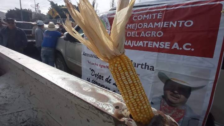 ¿Eres productor del campo en Guanajuato? Ya está la mecánica para solicitar apoyo económico