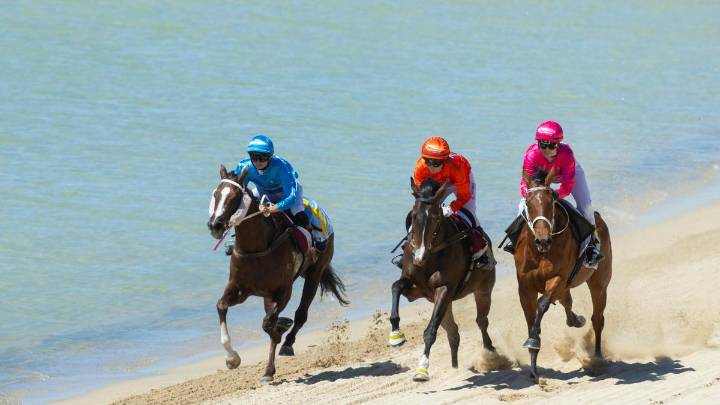 Rockingham Channel 7 Beach Cup: Retired racehorse Dark Waters takes the win as 20,000 visit foreshore