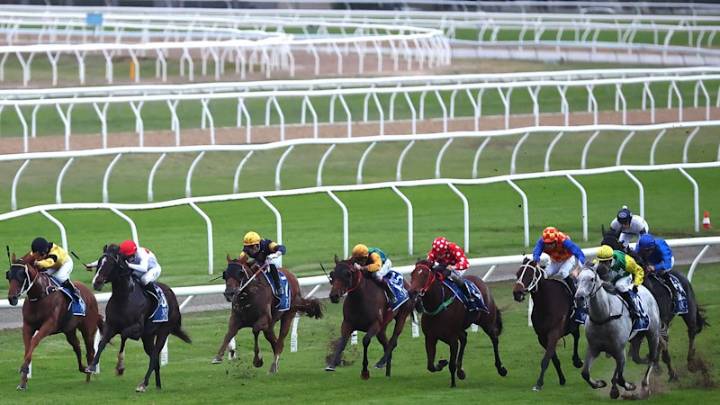 Race-by-race preview and tips for Newcastle on Saturday