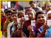 Bihar Election 2025 Phase 2: BJP strongholds face crucial test, THESE candidates