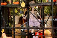RFK Jr.’s neighbor has Halloween display message for him