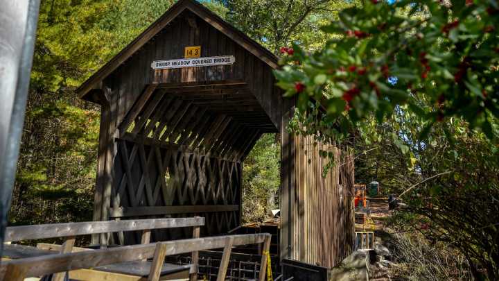 What to know about Foster