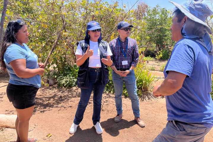 INDAP Arica destina recursos de emergencia para 82 pequeños productores afectados por la Mosca de la Fruta