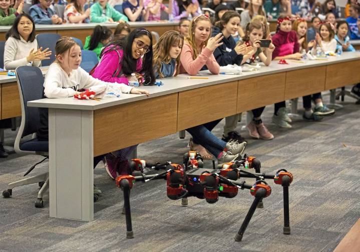 Sophia Greene and Claudia Fernandes: Cuts in science funding now mean far fewer scientists in the future