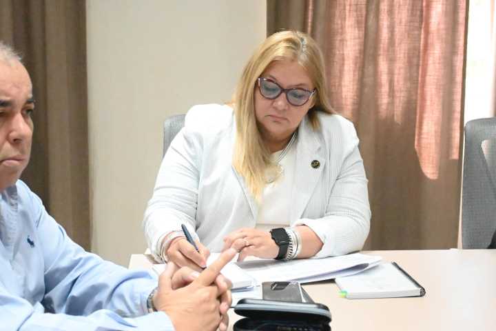 La Legislatura recibió informes periciales de ECOM sobre el incidente de ciberseguridad