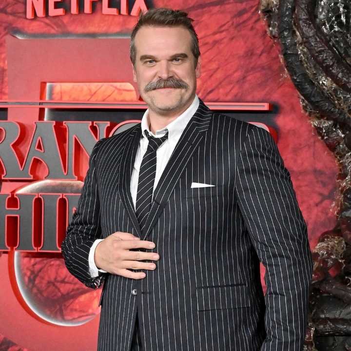 David Harbour Debuts Gray Hair in New Transformation