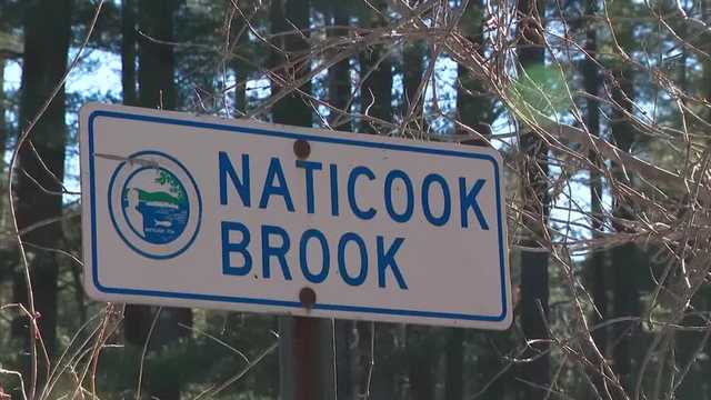 Merrimack asks DOT to reduce road salt after tests show high salt levels in water supply