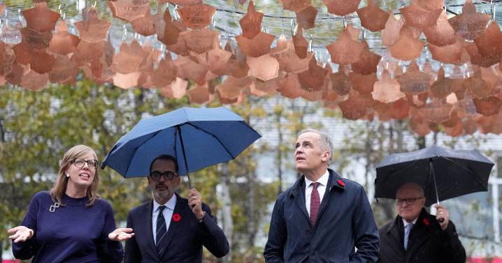 Poilievre’s MPs struggling to stay united, source says