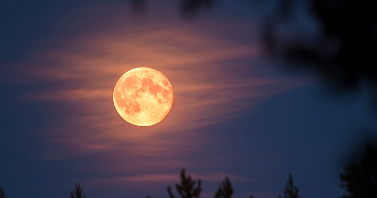 ¿Cuándo ver la Superluna de noviembre? Se anuncia como la más brillante del año