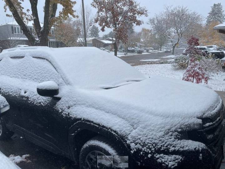 Feel like winter yet? GTA residents wake up to season's first snowfall