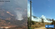Incendio forestal afecta a sector de Lliu Lliu en comuna de Limache