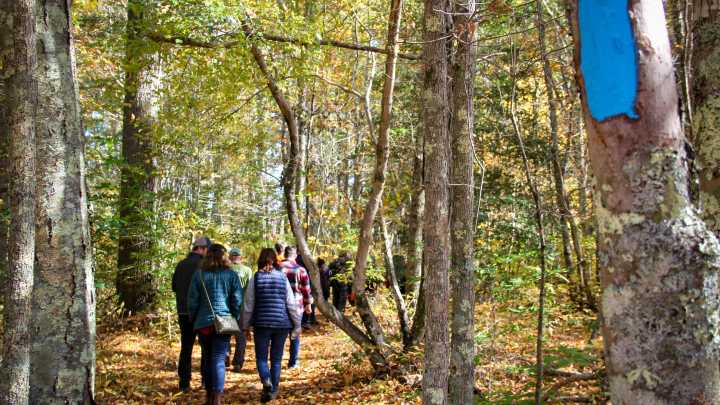 15 Greater New Bedford trails to explore after Thanksgiving