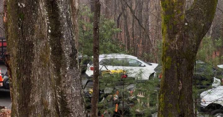 Woman, grandchildren found safe after spending night lost in Caesars Head State Park